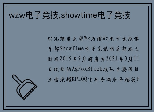 wzw电子竞技,showtime电子竞技